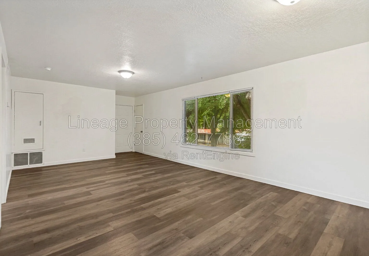 1 bed, 1.0 bath, $1,150 — Photo 1