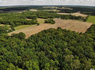 0 Raven Rd, Farina, IL 62838