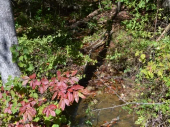 0 Arrow Trl Lot 1, Monterey, TN 38574