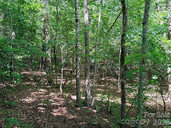 5th image of 0 Grassy Knob Rd #5