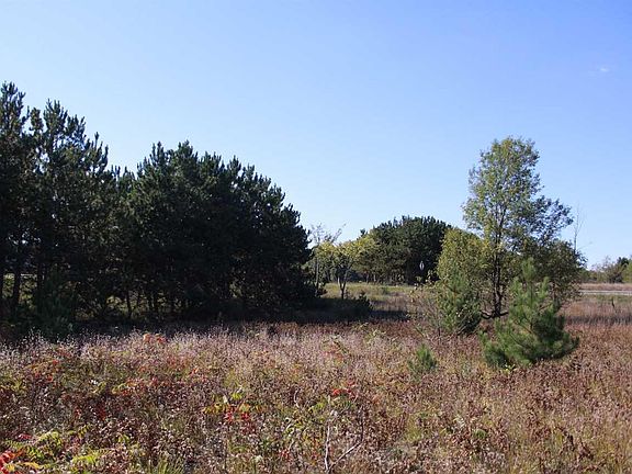 4th image of Black Bark Ln #C