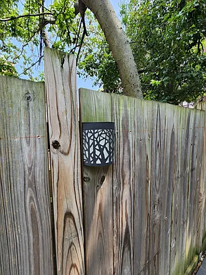 Rented by City Connections Realty | media 37