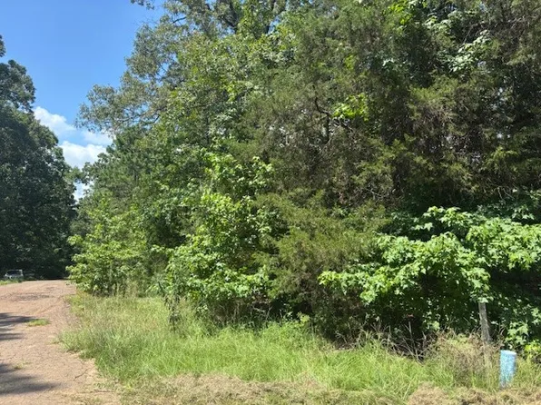 Croton Ln, Mount Vernon, TX 75457