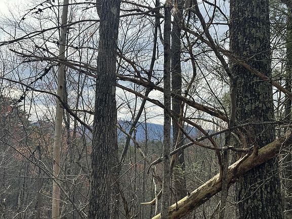 5th image of 4238 Ridge Rd