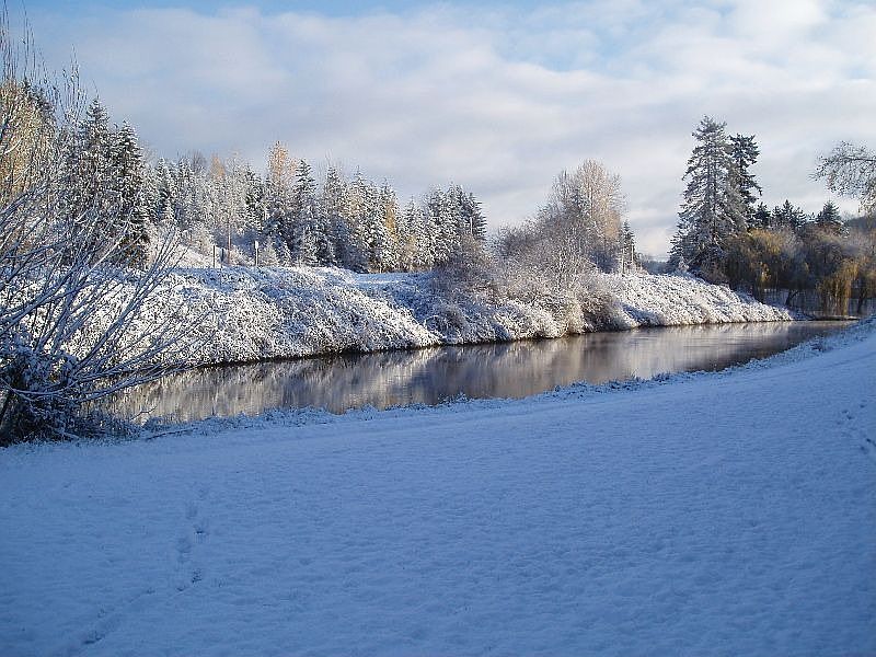 View of the river from the back porch