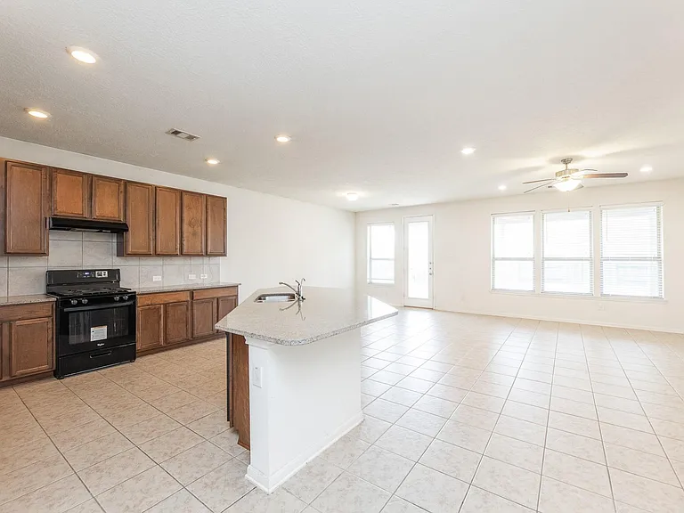 25342 Briscoe Village Dr — Photo 10