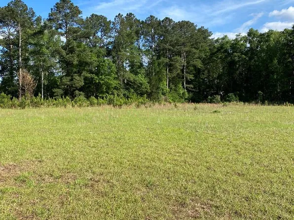 4249 Thomas Trl, Millwood, GA 31552