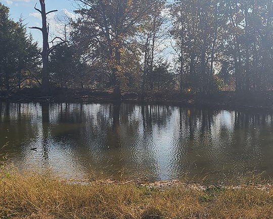 3rd image of 3304 County Road 7520