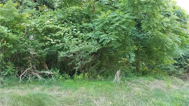 1730 Victory Ln photo 1