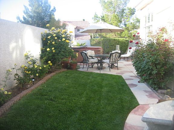 Landscaped backyard / Roses