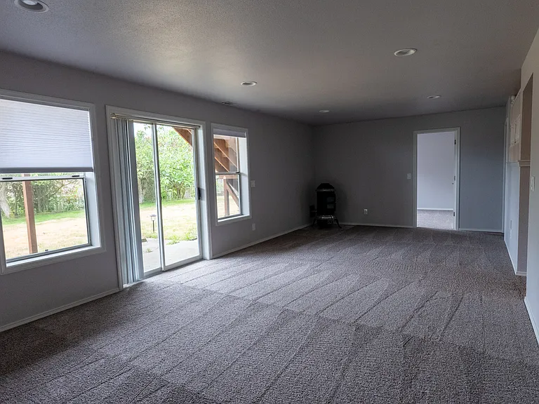 Basement living room