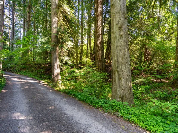 E Zig Zag River Rd, Rhododendron, OR 97049
