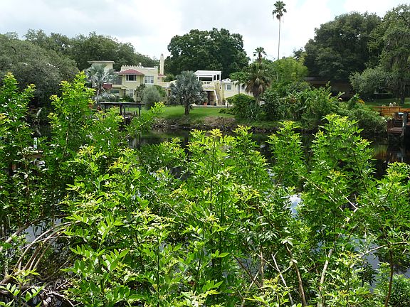 2nd image of N River Shore Dr Tampa Bldg Plot
