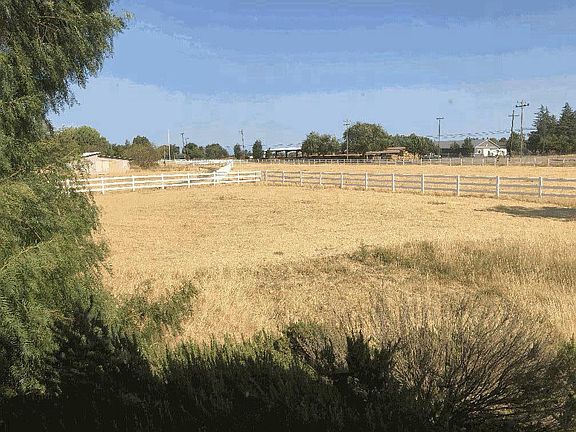 Eastern pasture