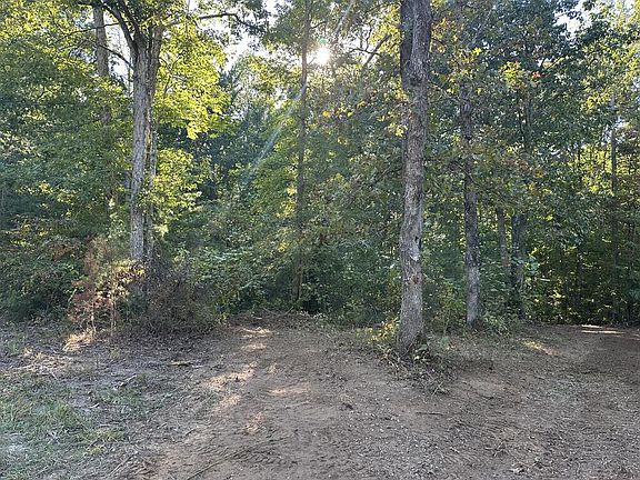 5th image of 297 Sandy Short Cut Rd