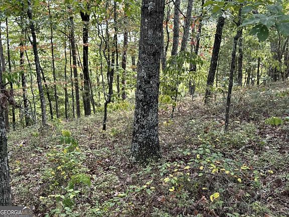 5th image of 1417 Fox Hound Trl