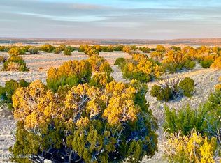 County Road N6659, Saint Johns, AZ 85936