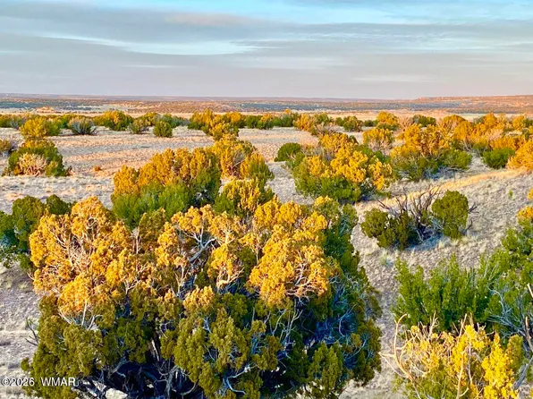 County Road N6659, Saint Johns, AZ 85936