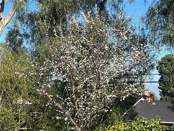 3rd image of 2 Chuckwagon Rd