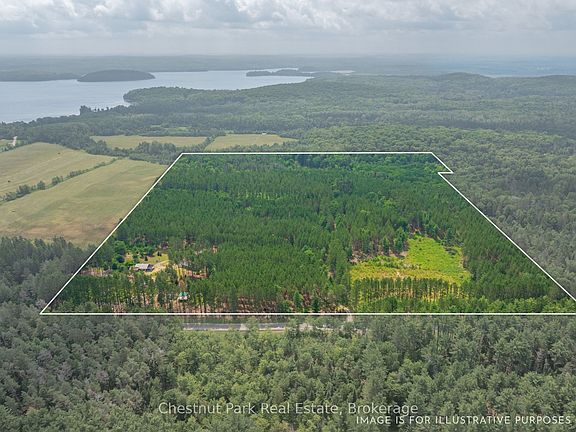 3rd image of 165 James Camp Rd