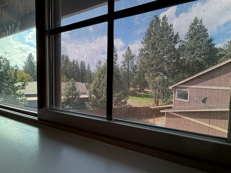 61208 Brittle Bush St — Photo 15
