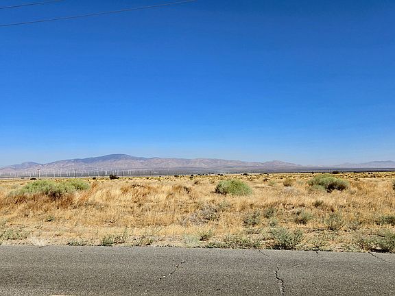 4th image of Avenue A