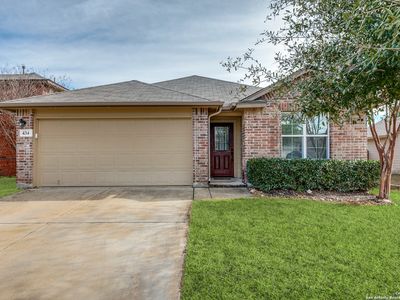 434 EASTERN PHOEBE, San Antonio, TX, 78253