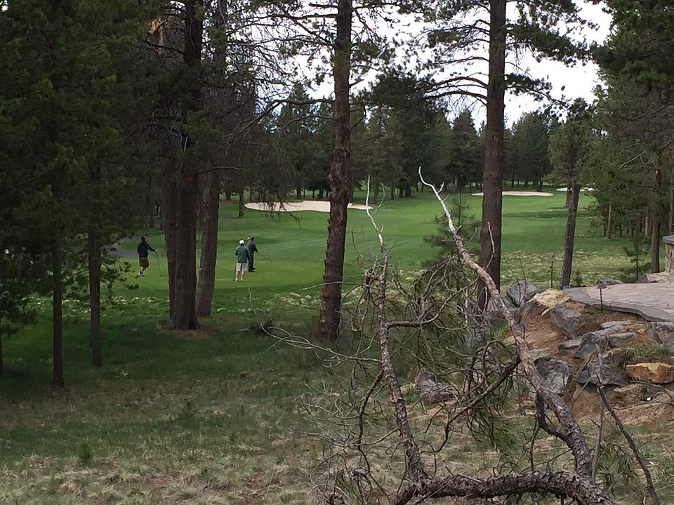 view up 18 fairway