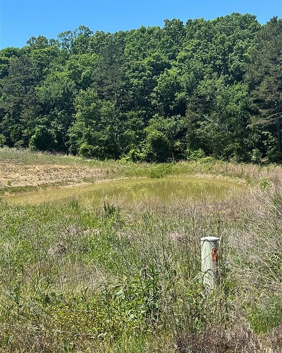 2nd image of 62 Hillside Way