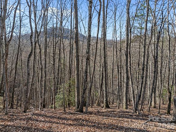3rd image of 9999 Hidden Cove Rd