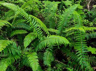 3626 Mud Bay Rd, Lopez Island, WA 98261