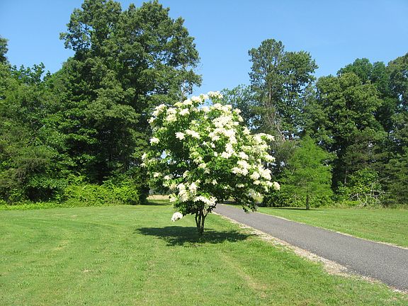 View looking towards road