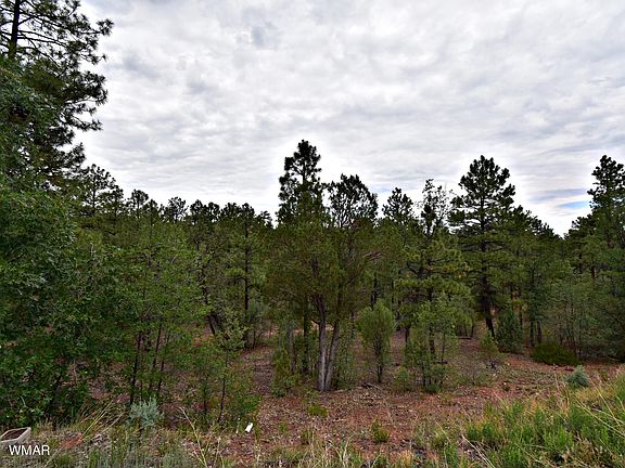 5th image of 7040 Leo Ln
