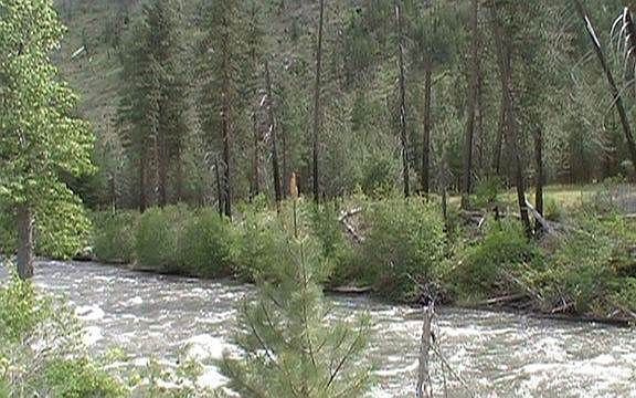 Entiat River Runs Through 101 Acres