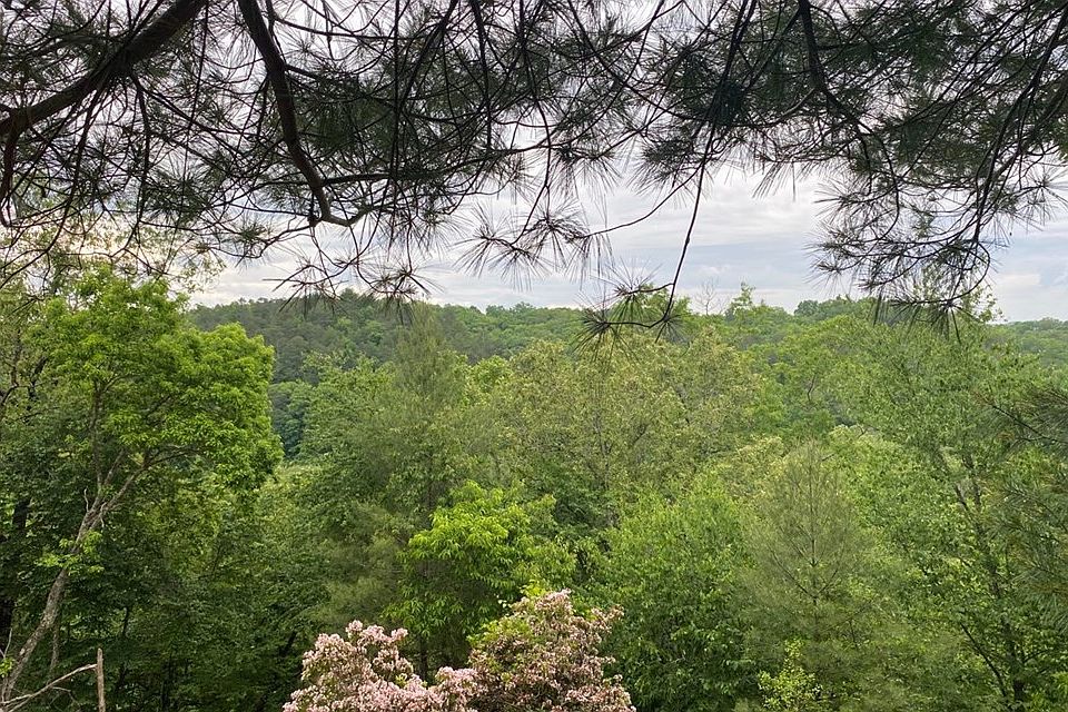 2nd image of 20 Toccoa River Frst