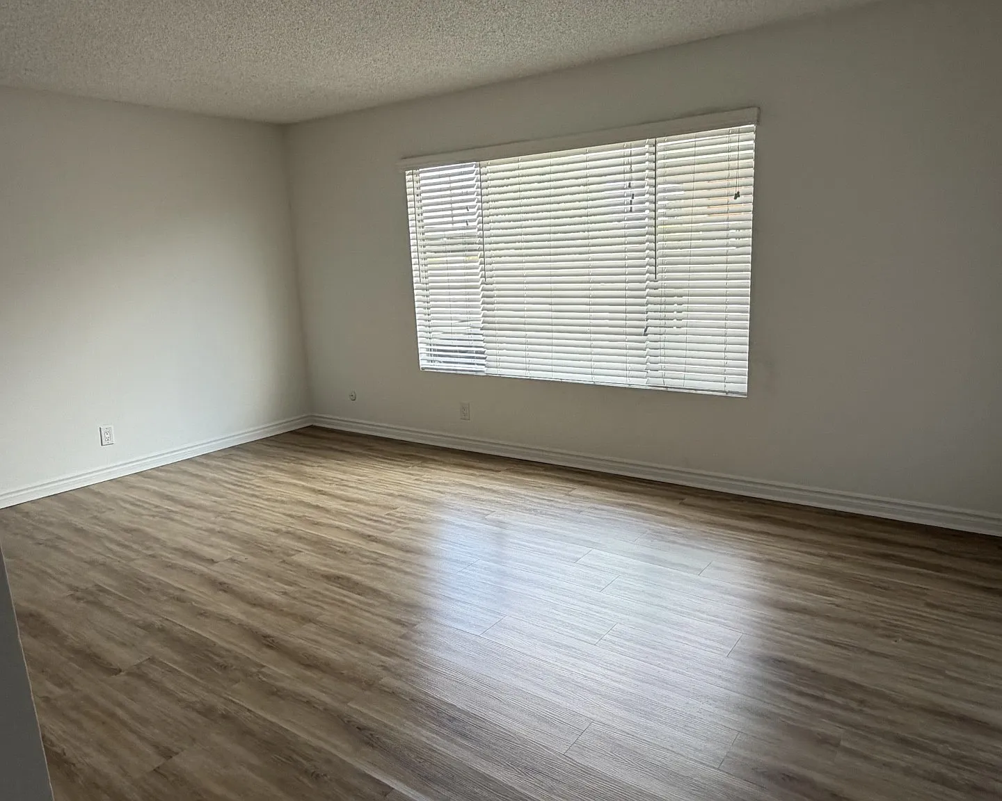 Pinetree Long Beach — Photo 2