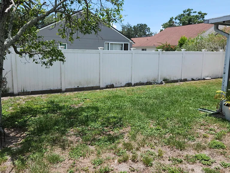 backyard picture