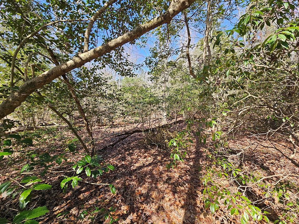 2nd image of Mothershead Neck Rd