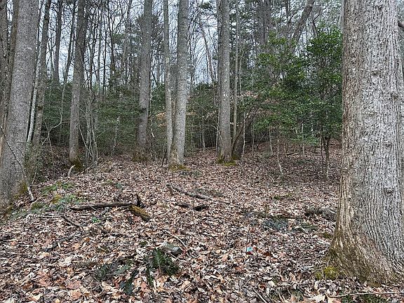 5th image of 7020 Martins Creek Rd