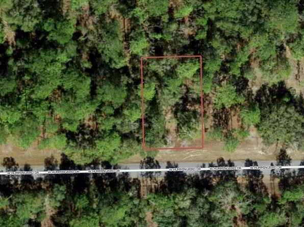 705 W Hummingbird Dr Lot 10, Dunnellon, FL 34434