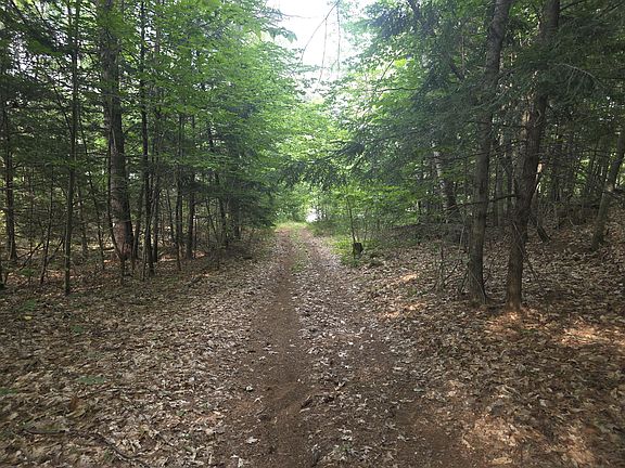 3rd image of Lot 1-1A Madison Road