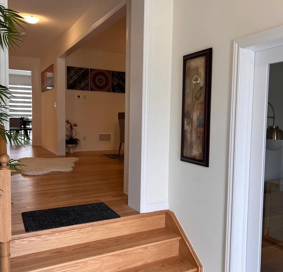 5 bed, $3,000 — Photo 4