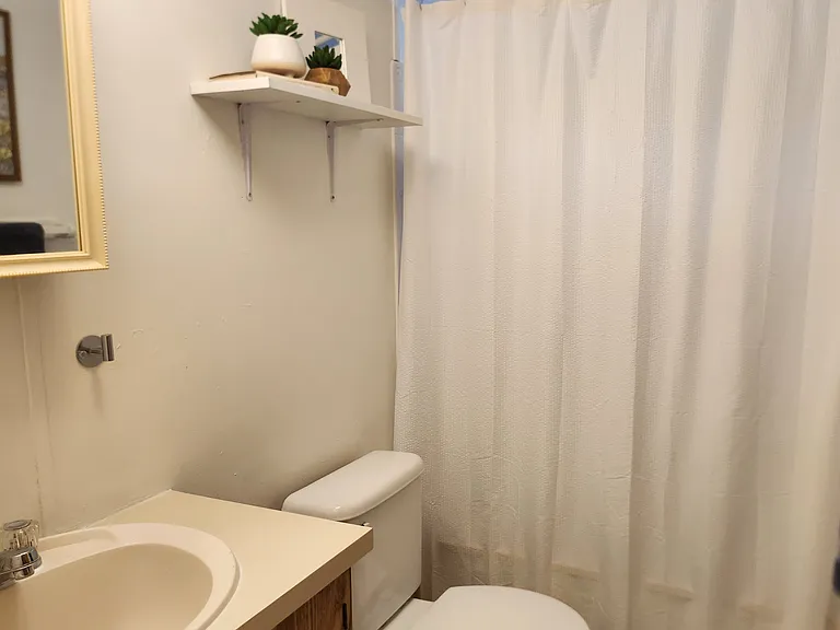 Main bathroom with tub and shower.