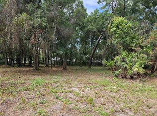 1330 E 9th Ave #10, Mount Dora, FL 32757