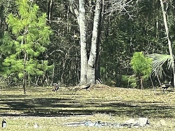 4th image of 44 Myrick Rd