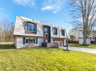 10325 Smugglers Cv, Reminderville, OH 44202