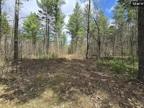 13612 Lewisburg Rd, Natural Bridge, NY 13665