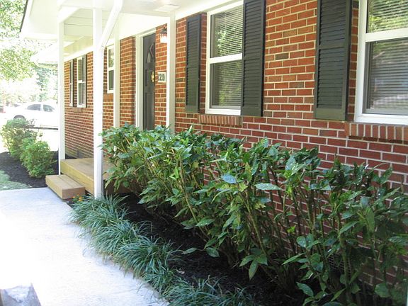 Walkway with landscaping.