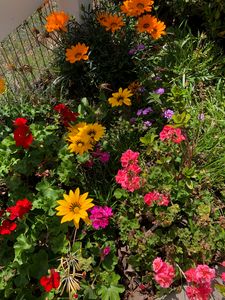 19885 Corte Florecida, Temecula, CA, 92590