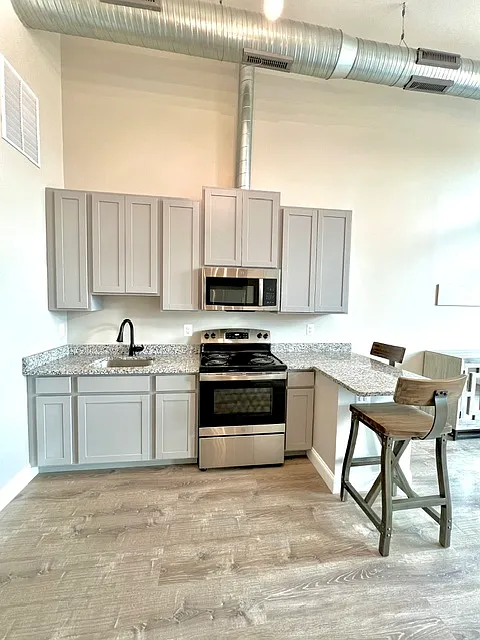 Studio, 438 sqft, $1,295 — Photo 4